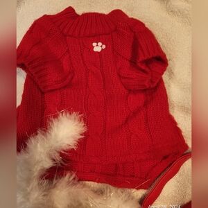 Build A Bear red sweater dress